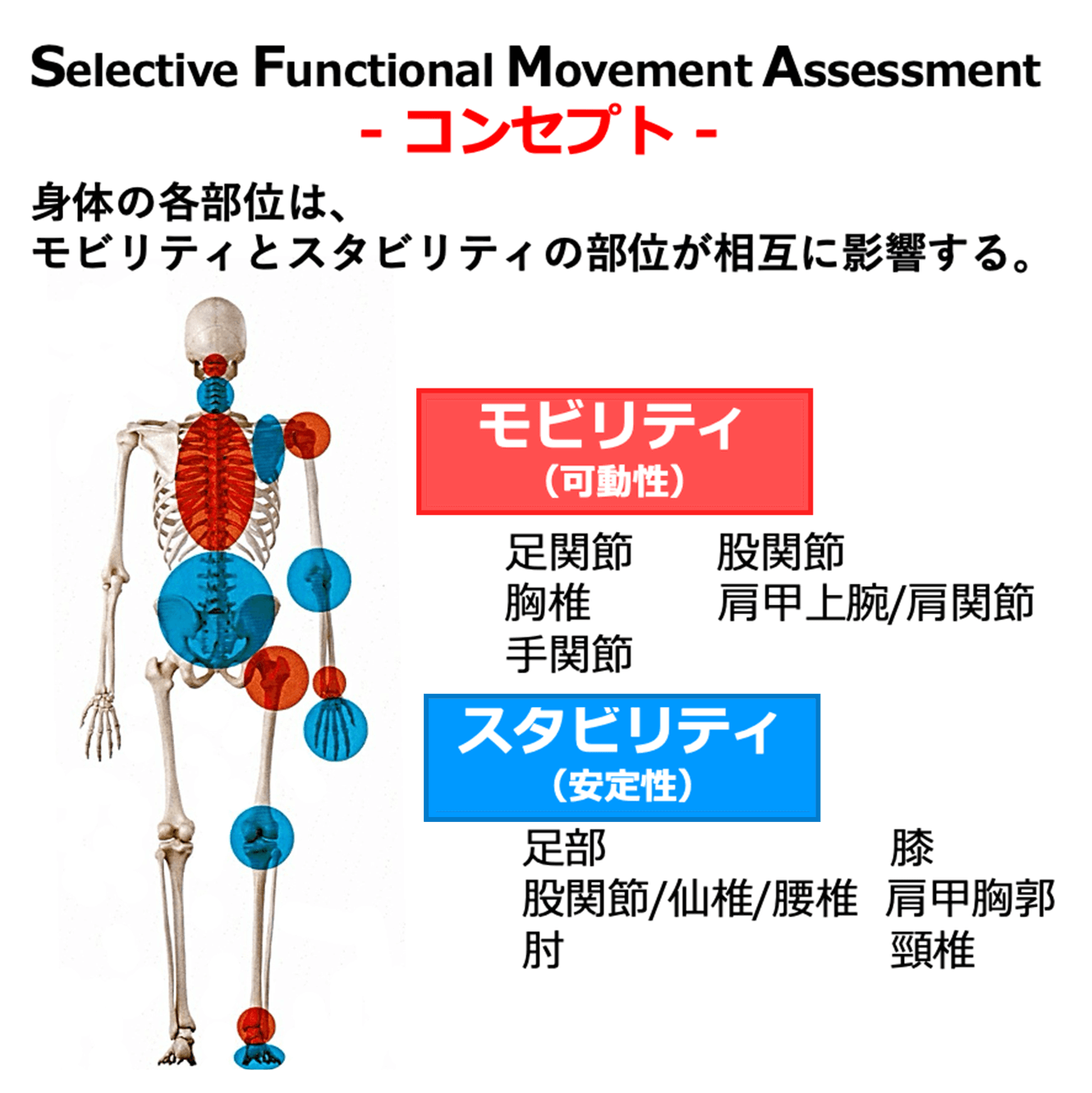 痛みの原因解明